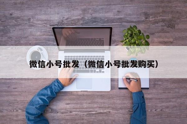 微信小号批发（微信小号批发购买）