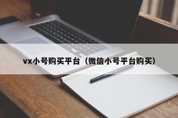 vx小号购买平台（微信小号平台购买）