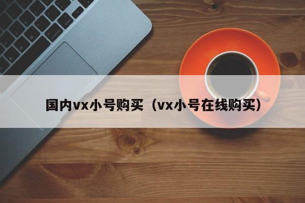 国内vx小号购买（vx小号在线购买）