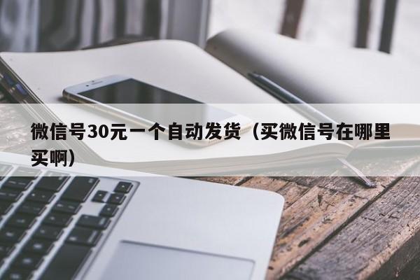 微信号30元一个自动发货（买微信号在哪里买啊）