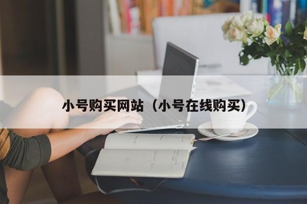 小号购买网站（小号在线购买）