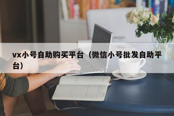 vx小号自助购买平台（微信小号批发自助平台）