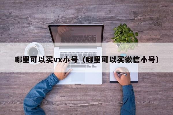 哪里可以买vx小号（哪里可以买微信小号）