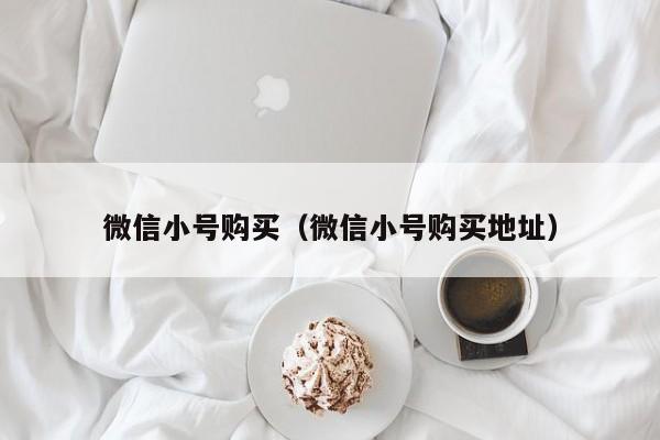 微信小号购买（微信小号购买地址）