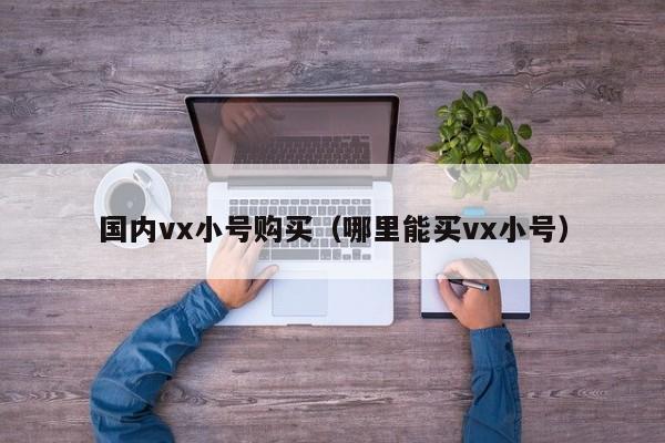 国内vx小号购买（哪里能买vx小号）