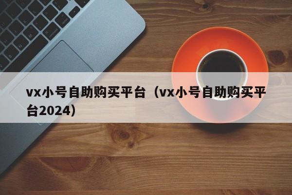 vx小号自助购买平台（vx小号自助购买平台2024）