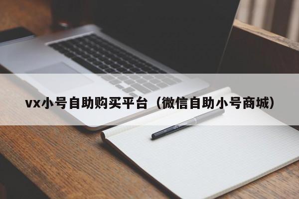 vx小号自助购买平台（微信自助小号商城）