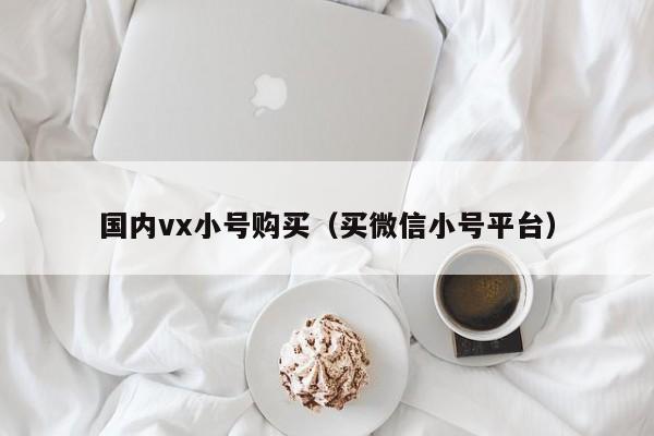 国内vx小号购买（买微信小号平台）
