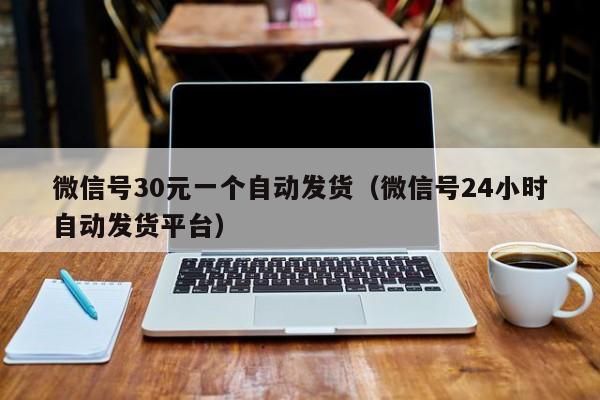 微信号30元一个自动发货（微信号24小时自动发货平台）