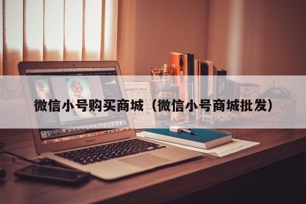 微信小号购买商城（微信小号商城批发）